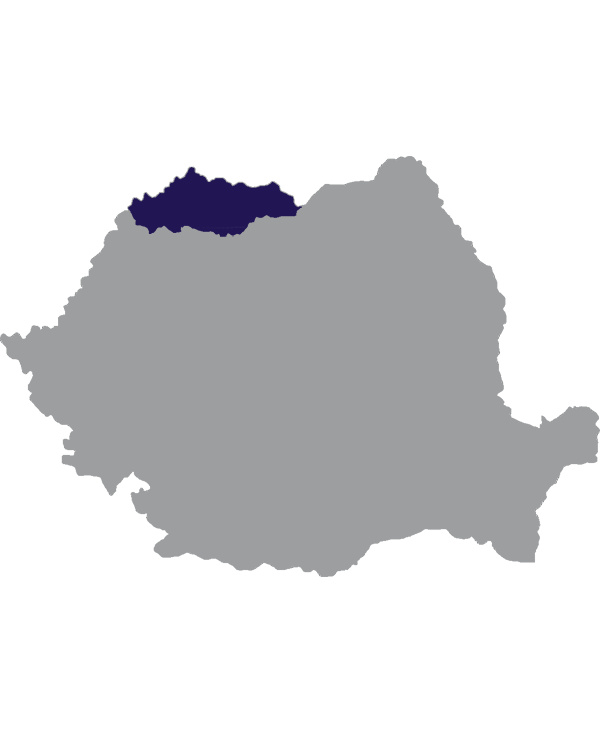 Landkaart Roemenië grijs met regio Maramures donkerblauw op transparante achtergrond - 600 * 733 pixels